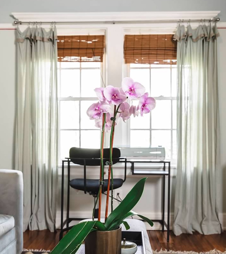 Window Treatment Consultation