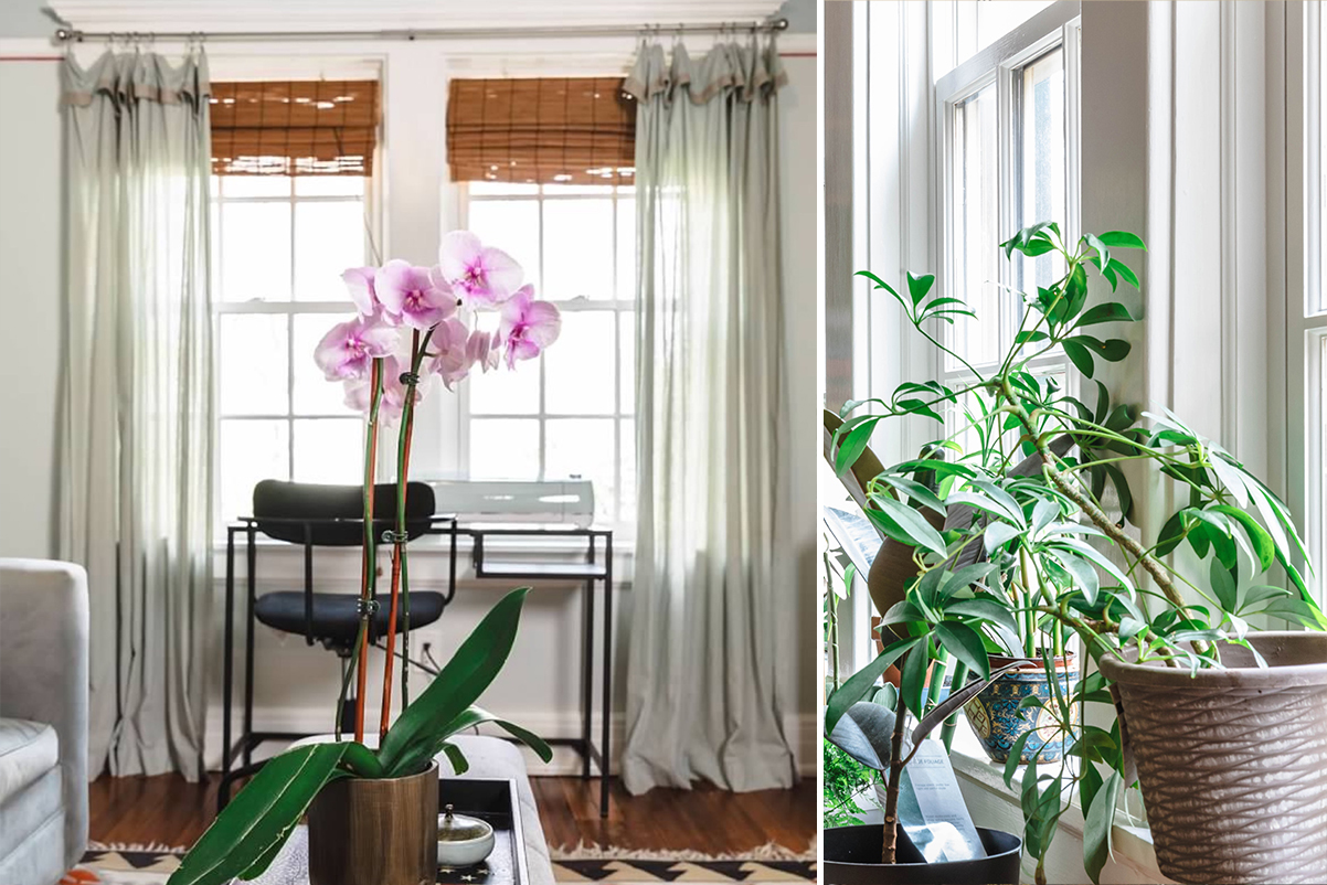 Window Treatment Consultation